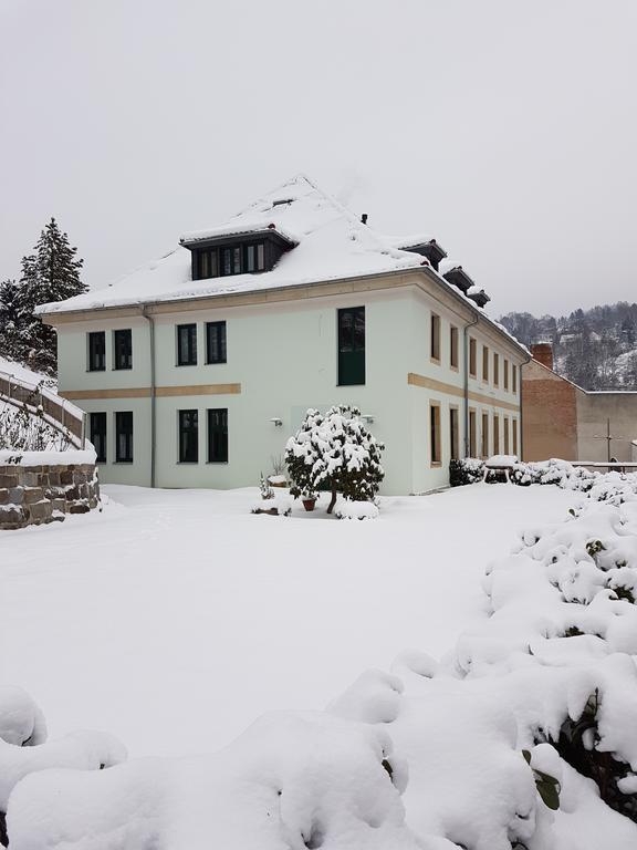 Pension Am Finkenberg Sebnitz Exterior photo